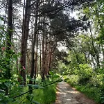 De Boogschutter - Kersenboom 3* Langenboom