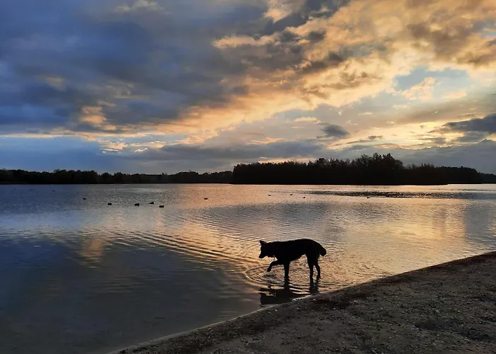 Panzió De Boogschutter - Kersenboom
