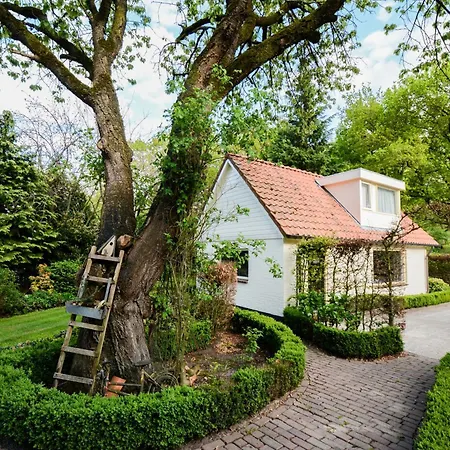 De Boogschutter - Kersenboom Panzió 3*