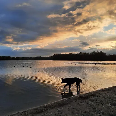 Panzió De Boogschutter - Kersenboom